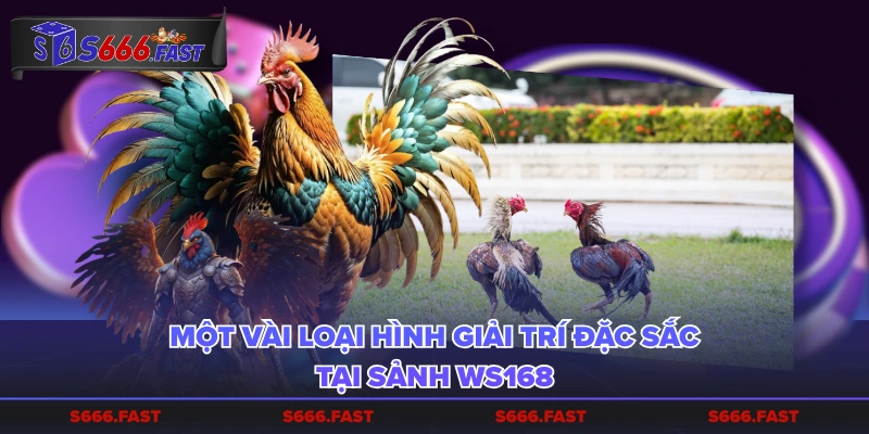 Một vài loại hình giải trí đặc sắc tại sảnh WS168
